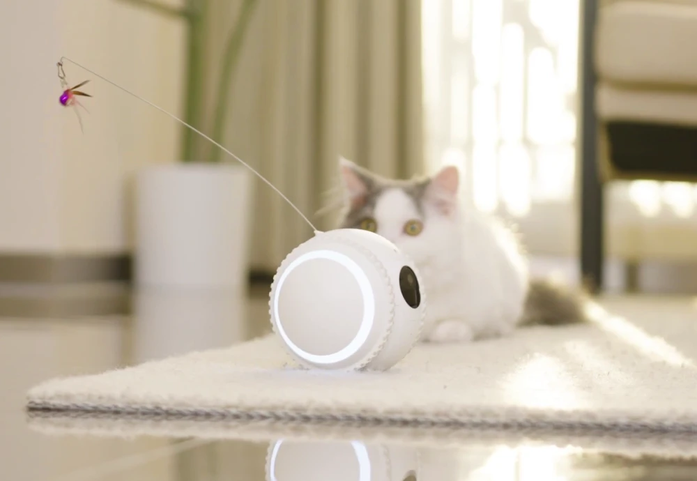 home camera for pets