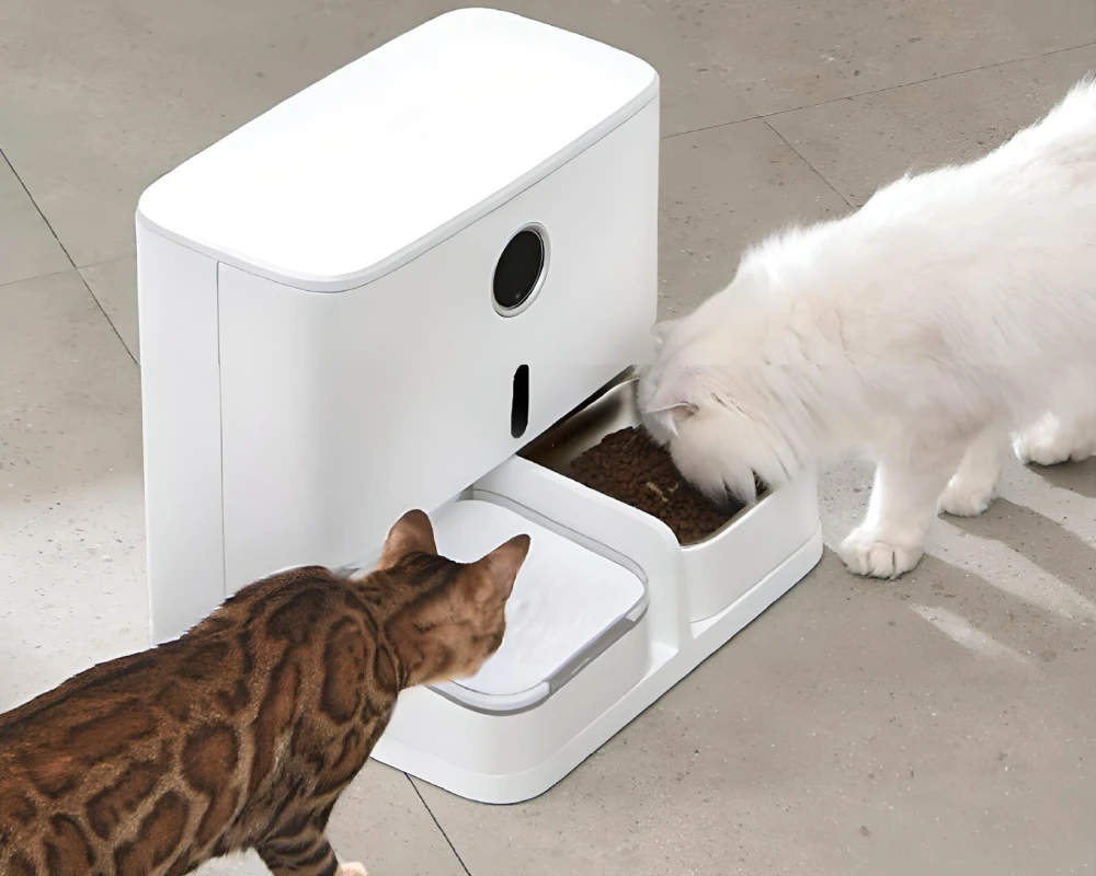 top pets automatic feeder