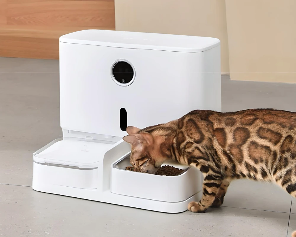 programmable automatic pet feeder